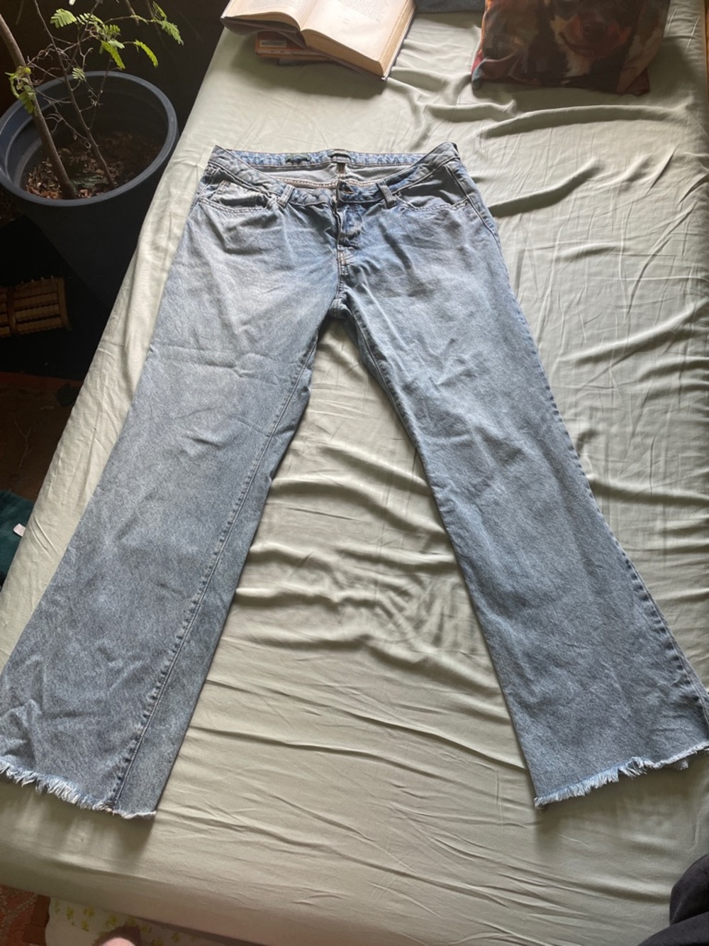 wild fable Light Blue Flare Jeans